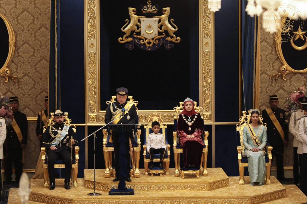 柔苏丹出任国家元首期间，柔王储受委摄政王