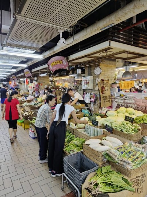 卓衍豪／巴刹巡礼