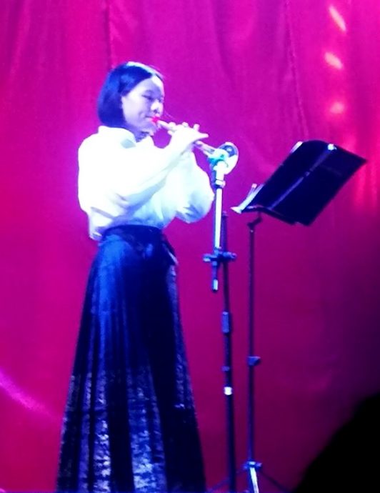 南华独中文化大汇演