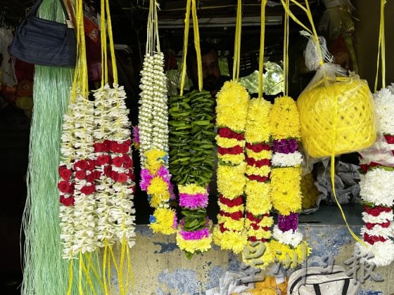 印度人大小节日都少不了它——印度花环（Bunga Malai）