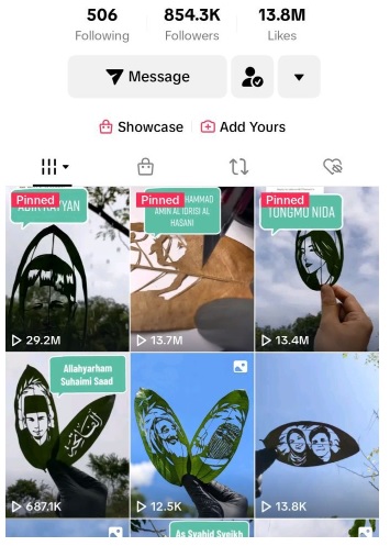 叶雕艺人误信“友人妻子”送3万币 85万粉丝TikTok账号被骑劫