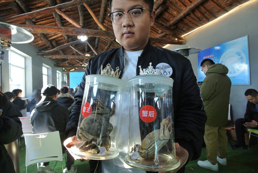 国际拼盘) 天津举办首届争霸赛 七里海“蟹王”与“蟹后”出炉