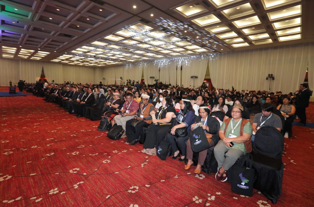 国:柔佛苏丹后:气候变化和环境退化 我国面对的决定性挑战