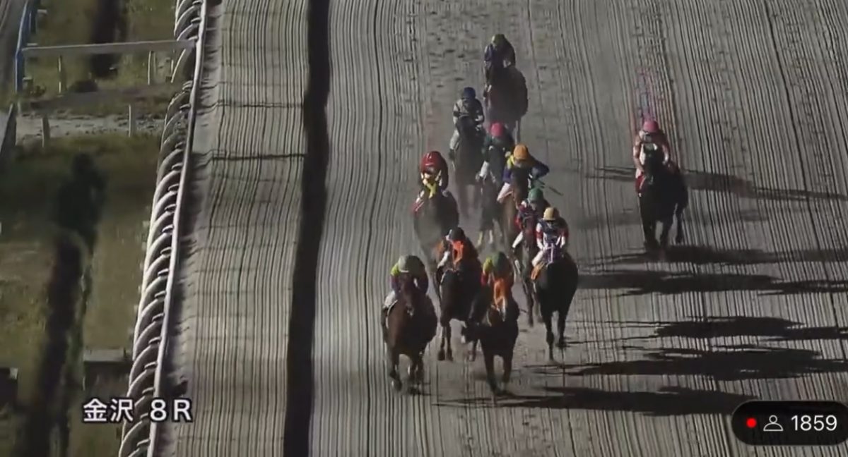 夜间赛马期间灯突熄灭 3骑师摔下1马重伤要人道毁灭