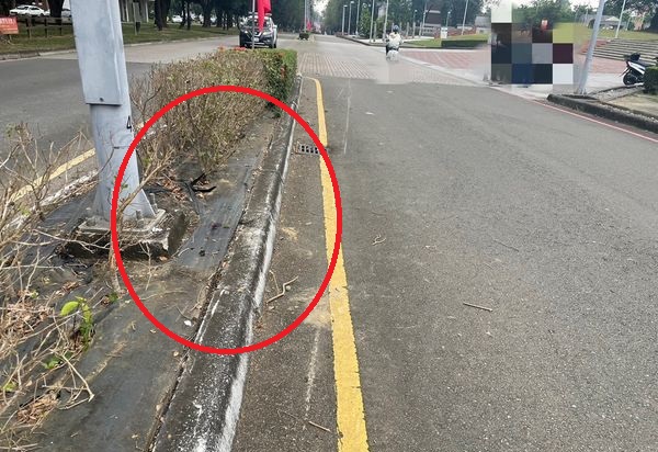 大学新生校内自撞亡 死前一刻悔不该骑那幺快