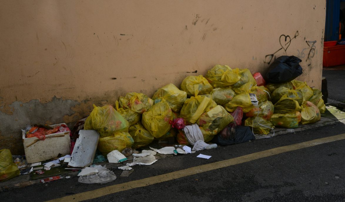 大都会/余保凭巡视斯里峇都喼花园／６图