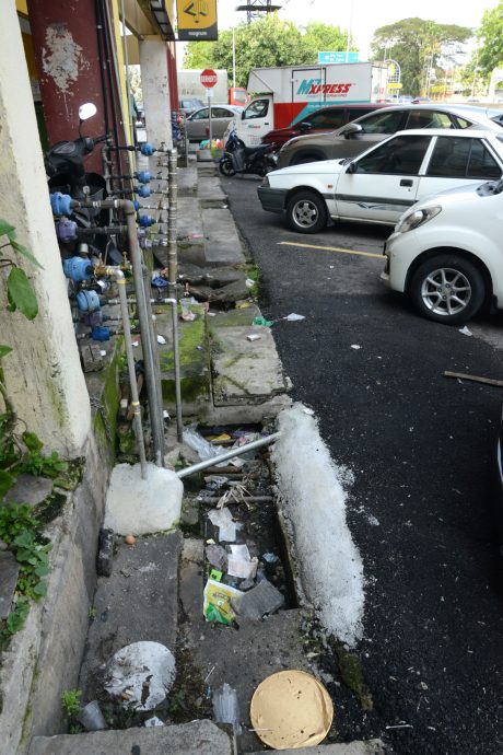 大都会/余保凭巡视斯里峇都喼花园／６图