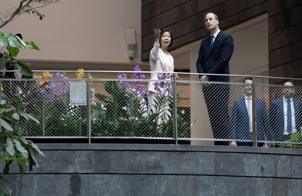 威廉王子造访狮城 开启4天环保之行