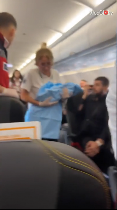 孩子赶著出世女子机上突升格当妈 乘客感动鼓掌