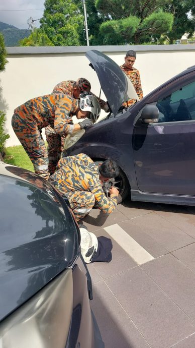 小猫躲在车引擎内出不来 消拯员出动解救