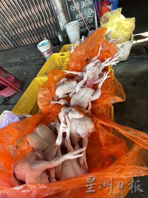 **已签发**柔:封底头条:肉鸡价格开始浮动,麻坡东甲肉鸡却更便宜