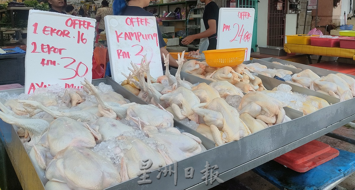 **已签发**柔:肉鸡价格浮动,古来业者:暂未带来影响