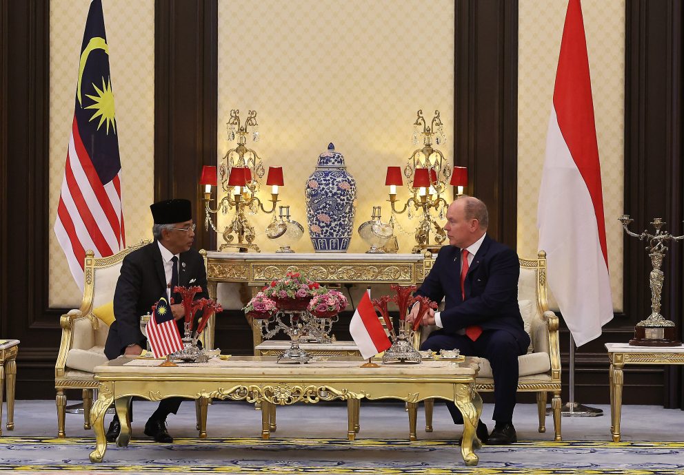 已综合删短*/国家元首举行国宴接待摩纳哥亲王