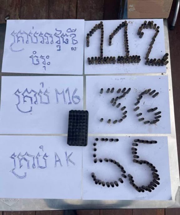 开逾200鎗庆生日 王家军高层儿子涉案