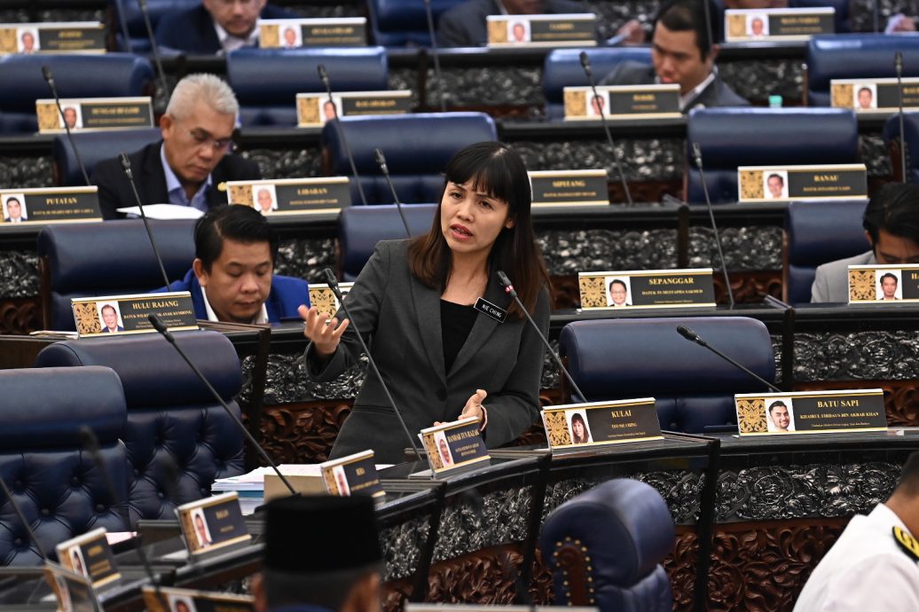 张念群：已向Tiktok表达大马立场“不允许撤下挺巴内容”