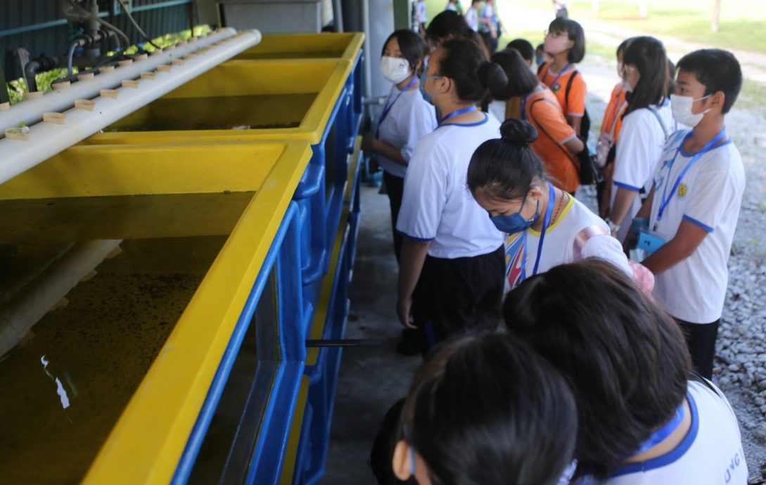 招收2024年度初一新生 崇华独中办小六生体验营