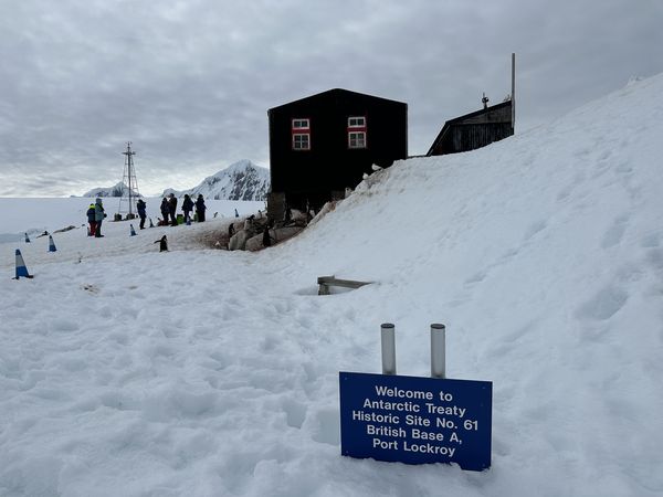 最偏远邮局征人了！包括为企鹅铲屎　英国数百人抢报名 