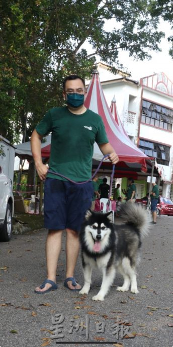 柔:宠物萌萌哒:(11月25日见报):阿拉斯加与贵妇犬性格大不同,爱狗人采取一国两制饲养