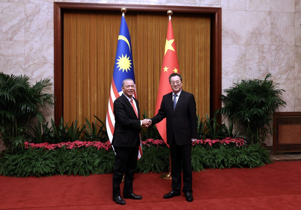 法迪拉与丁薛祥会面