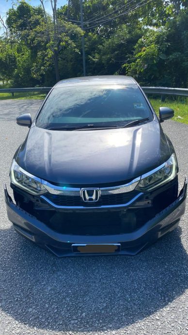 独家|发帖描述撞死狗狗被骂翻 男子灭火:全速撞上是虚构