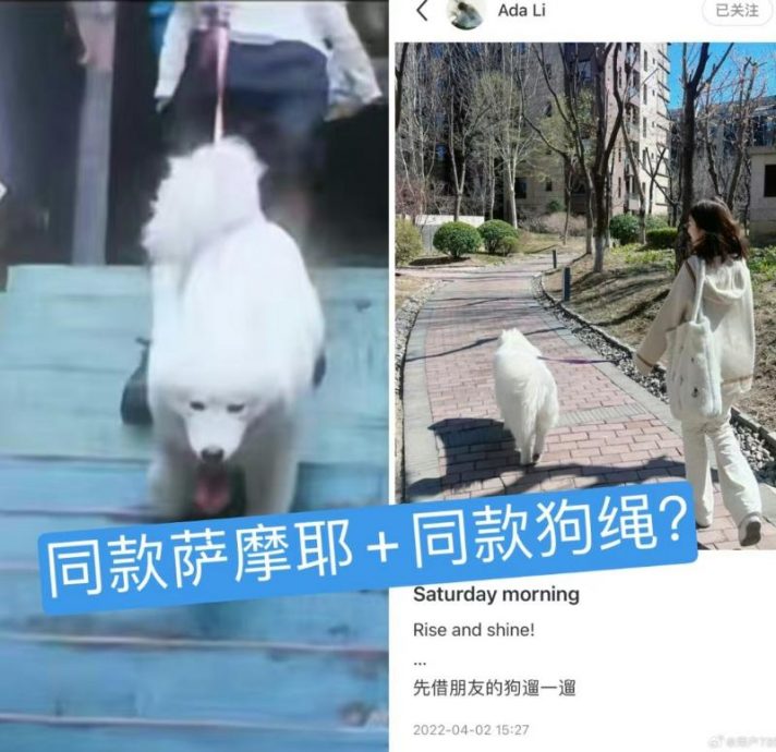 王源恋爱了? 被扒翘课陪女友过感恩节