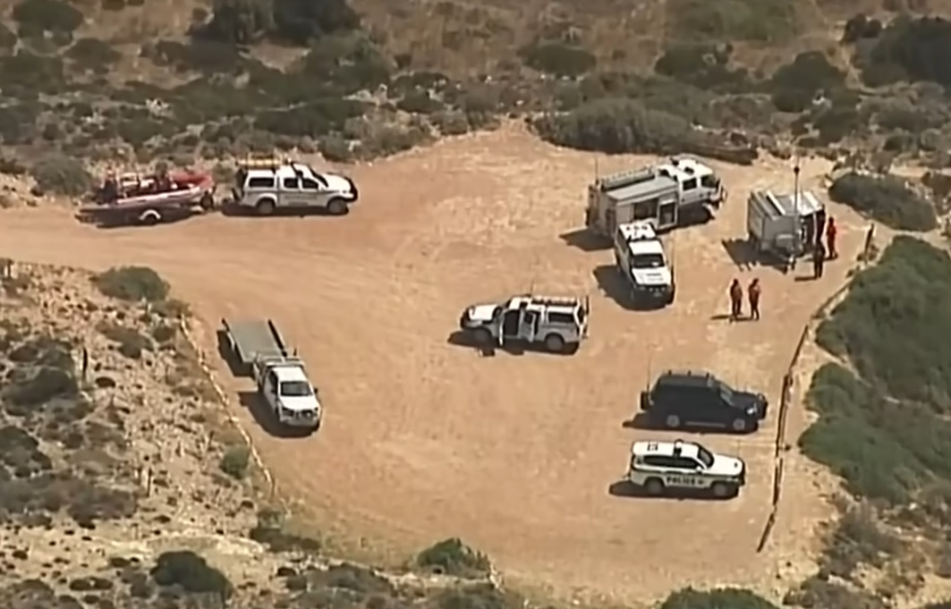 男子冲浪遇大白鲨 遭一口咬死叼嘴里拖走