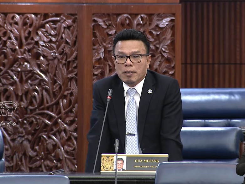 土团党话望生国会议员强调还是国盟一分子.不曾遭到威胁