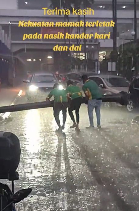 视频 | 冒雨搬走倒下巨树 扁担饭员工获赞:Abang谢谢你