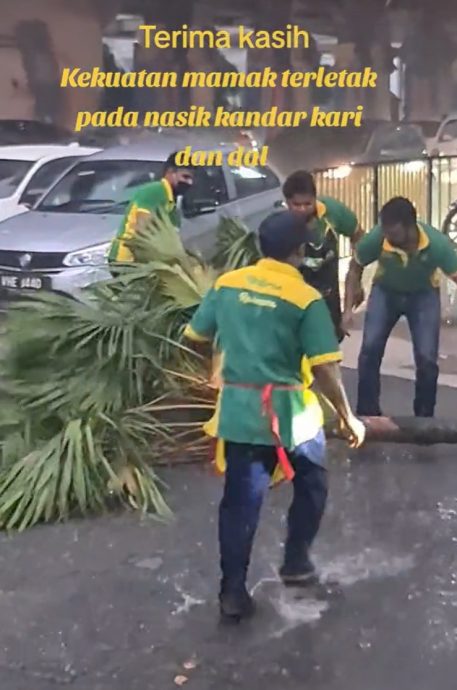 视频 | 冒雨搬走倒下巨树 扁担饭员工获赞:Abang谢谢你