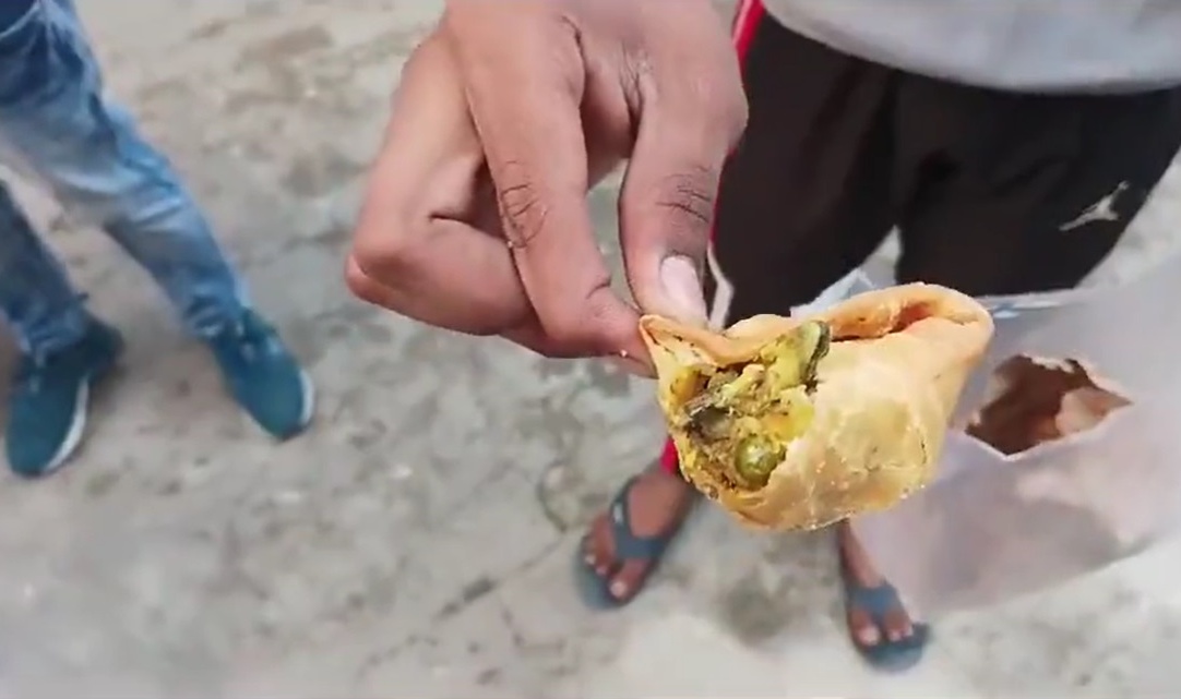 视频|“以为咖喱饺有嚼劲” 父女吃了才见死壁虎