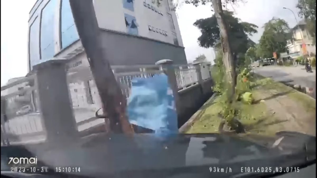 视频|顾客送修MINI Cooper 员工试驾加速失控撞树破大洞!