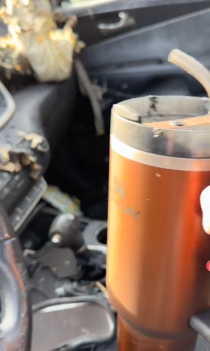  车子烧毁保温杯竟“无损”爆红　女子获公司送新车  