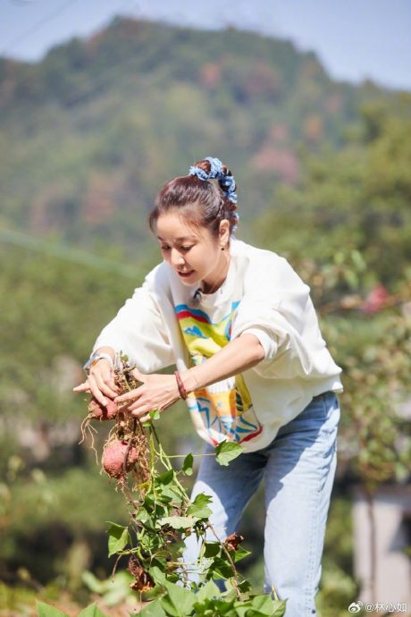 霍建华接送女儿上学 林心如自曝在家睡觉
