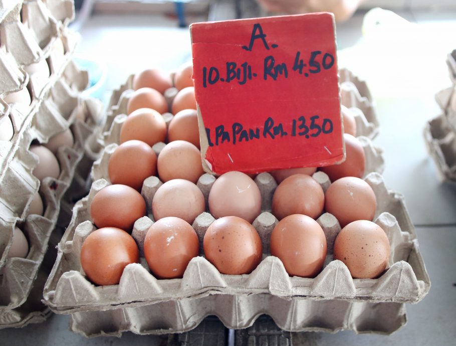 霹内贸局长:持续到市场监督价格 肉鸡价首日浮动没涨