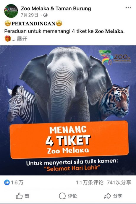 （全国求真）甲动物园有假专页行骗 邓永森促勿被骗个资