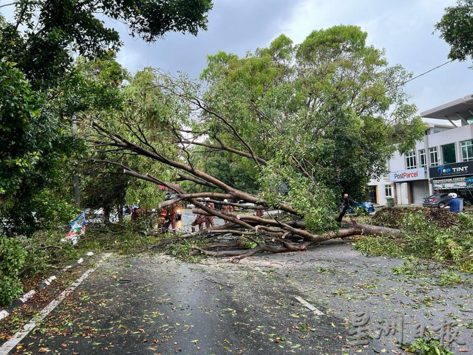 (古城版)暴风雨频繁,提防水灾和树倒