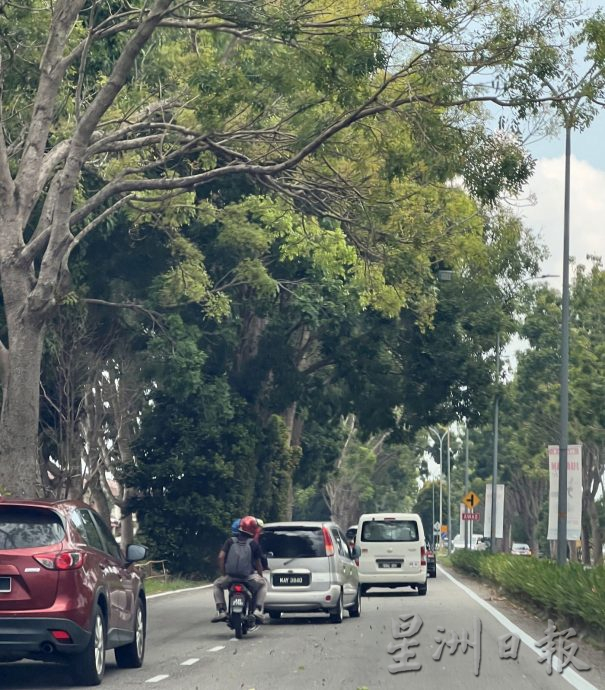 (古城版)暴风雨频繁,提防水灾和树倒