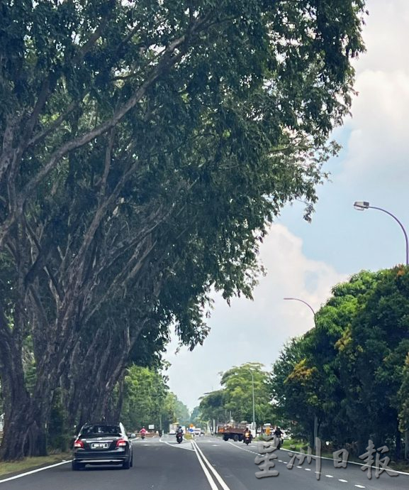 (古城版)暴风雨频繁,提防水灾和树倒