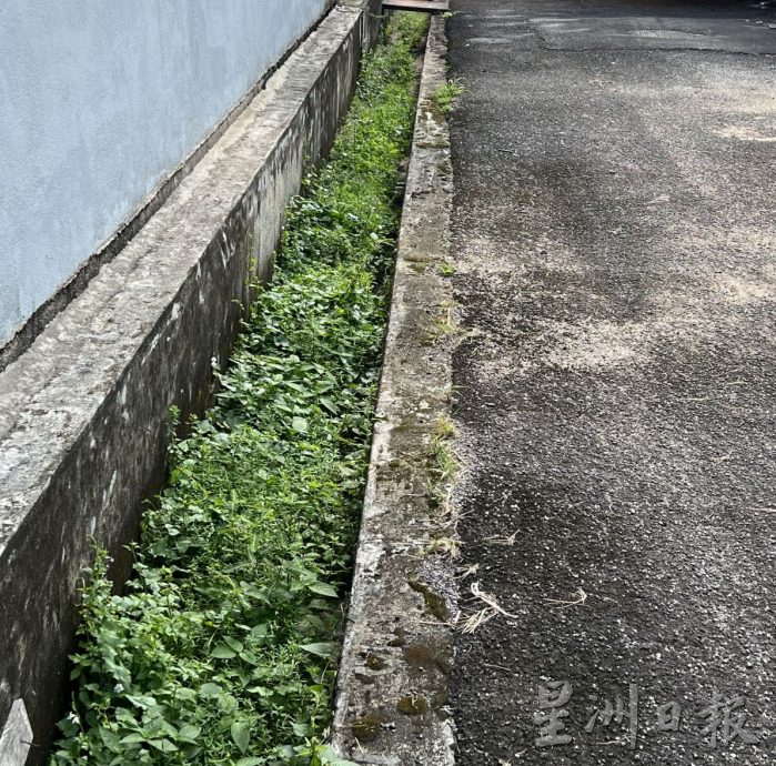 (古城版)暴风雨频繁,提防水灾和树倒