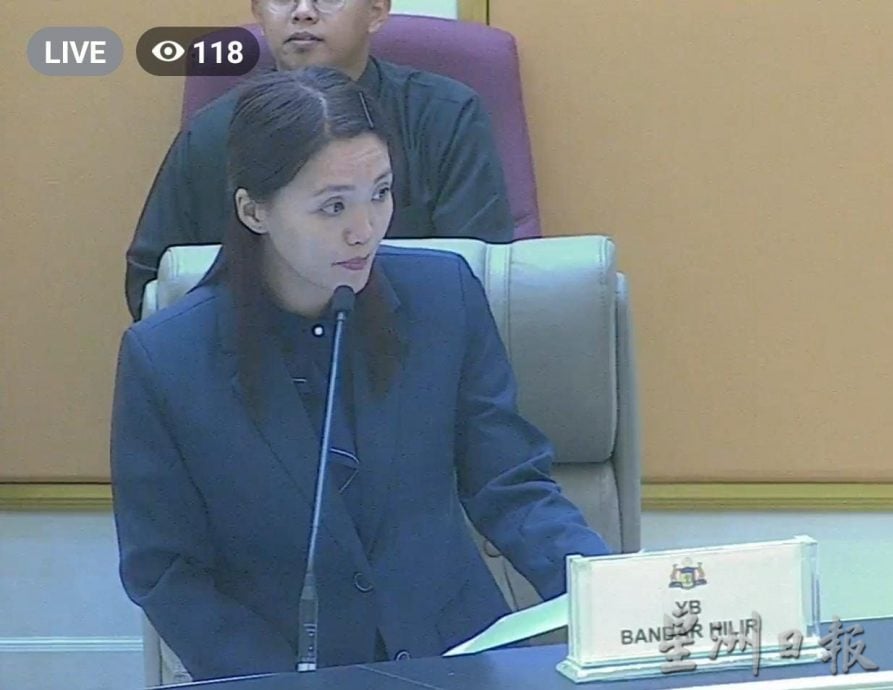 (古城版)甲州议会:流浪狗课题