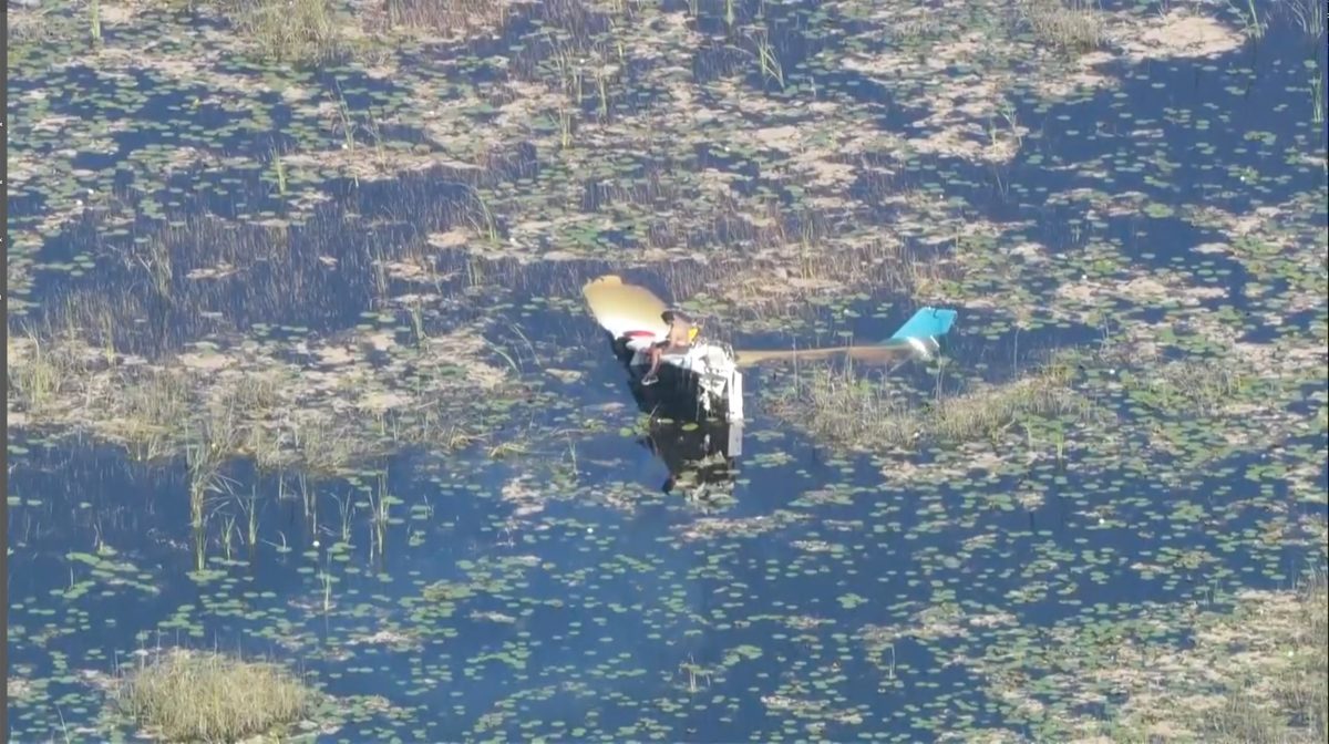 (视频) 小飞机坠落鳄鱼出没的沼泽 驾驶被困9小时获救