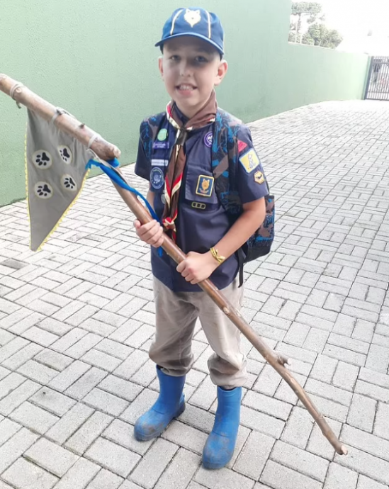 10岁男童家中“点亮圣诞树” 不幸触电身亡