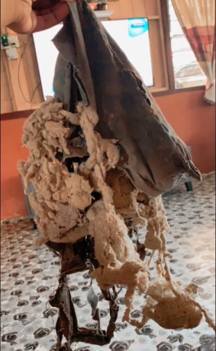 25年“臭臭”只剩碎布也不扔 “无法想象没有它”