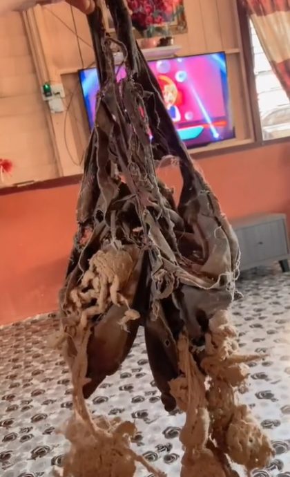 25年“臭臭”只剩碎布也不扔 “无法想象没有它”