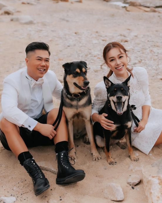 “安心事件”欠郑秀文一个道歉? 黄心颖:做了也无需公告天下