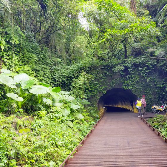 【台湾】走出台北,探索新北市!