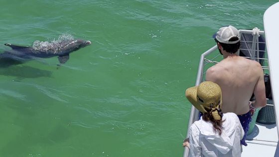 【美国】游走美国最南端的城市Key West