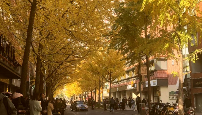 上海一条马路如周末的公园　居民懵了：怎幺这幺多人？