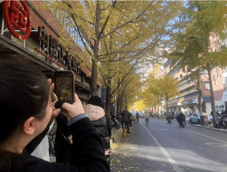 上海一条马路如周末的公园　居民懵了：怎幺这幺多人？