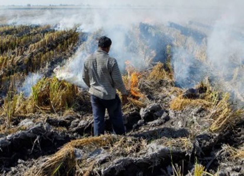 专家：2024年中国将迎来更多极端天气